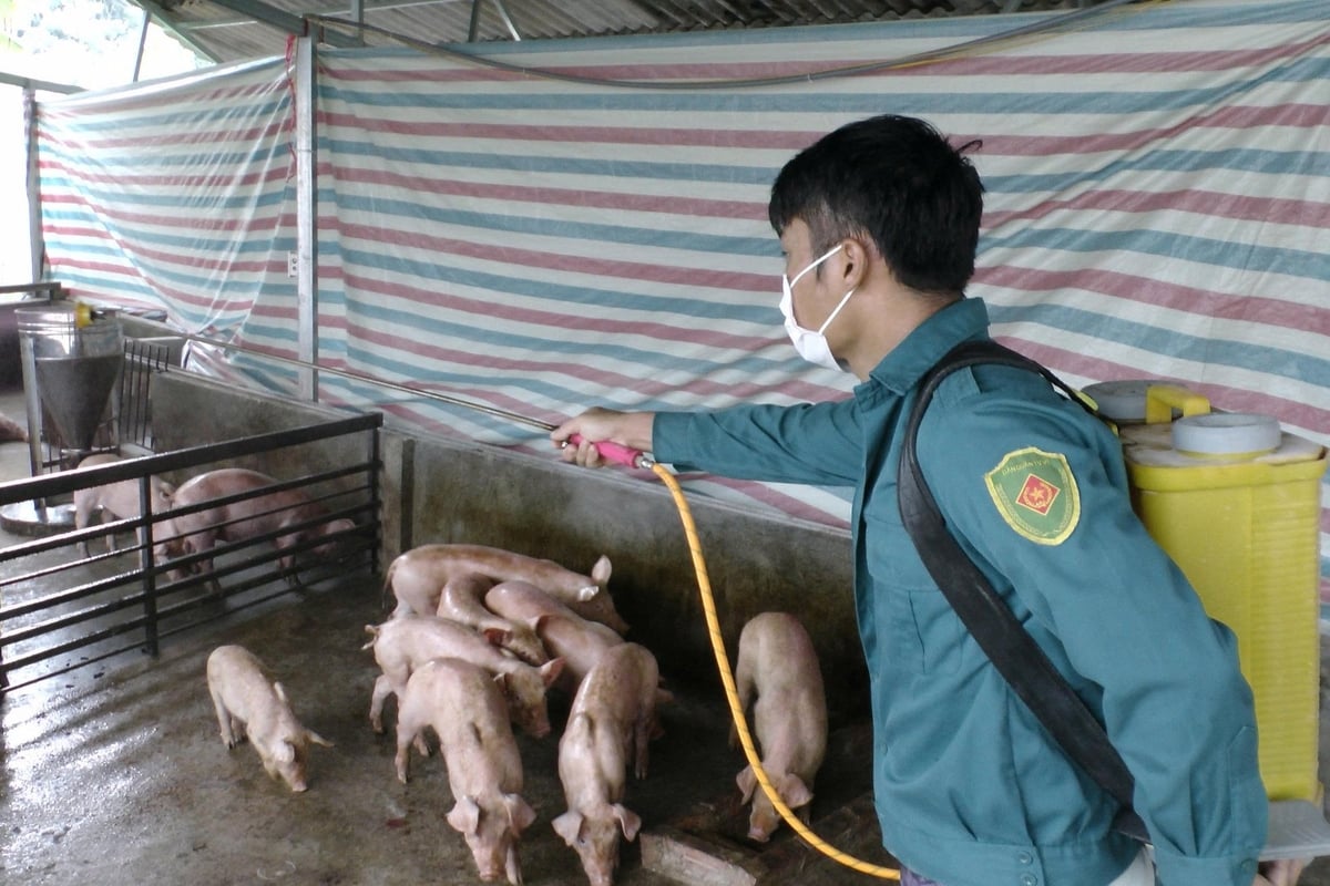 Các địa phương và người dân đang căng mình chống dịch. Ảnh: Thanh Tiến. Các địa phương và người dân đang căng mình chống dịch. Ảnh: Thanh Tiến.