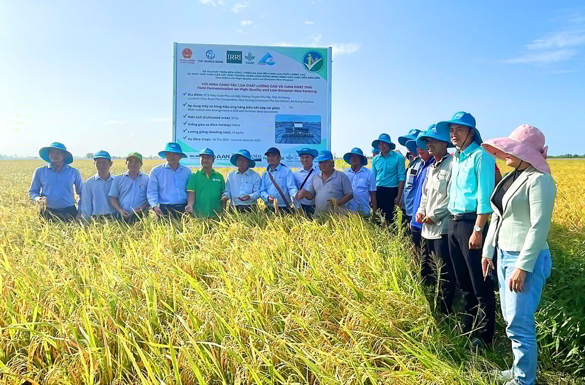 Đại biểu ngành nông nghiệp, doanh nghiệp và nông dân tham quan thực tế mô hình tại ấp Hiệp Thạnh, xã Bình Thạnh Đông, tỉnh An Giang. Ảnh: Lê Hoàng Vũ. Đại biểu ngành nông nghiệp, doanh nghiệp và nông dân tham quan thực tế mô hình tại ấp Hiệp Thạnh, xã Bình Thạnh Đông, tỉnh An Giang. Ảnh: Lê Hoàng Vũ.