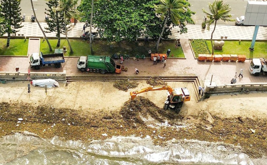 Nhân viên VESCO đang thu dọn rác thải đại dương tại phường Vũng Tàu. Ảnh: UBND phường Vũng Tàu.