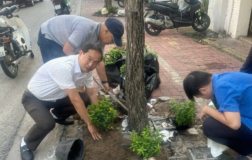 2.000 cây hoa huỳnh anh ngay sau đó được trồng tại các khu phố, giúp phường Vũng Tàu tô thêm điểm nhấn. Ảnh: TB. 2.000 cây hoa huỳnh anh ngay sau đó được trồng tại các khu phố, giúp phường Vũng Tàu tô thêm điểm nhấn. Ảnh: TB.