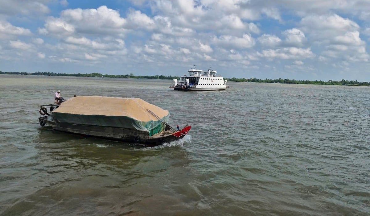 Tỉnh Vĩnh Long đang triển khai nhiều giải pháp nhằm nâng cao hiệu quả quản lý, bảo vệ, cải thiện chất lượng môi trường nước trên tuyến sông Cổ Chiên. Ảnh: Lê Hùng.