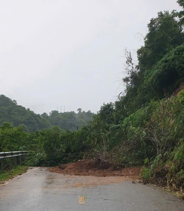Cây cối, đất đá từ ta luy dương đổ xuống đường tại bản Háng Pù Xi, xã Tìa Dình. Ảnh: Hoàng Châu. Cây cối, đất đá từ ta luy dương đổ xuống đường tại bản Háng Pù Xi, xã Tìa Dình. Ảnh: Hoàng Châu.