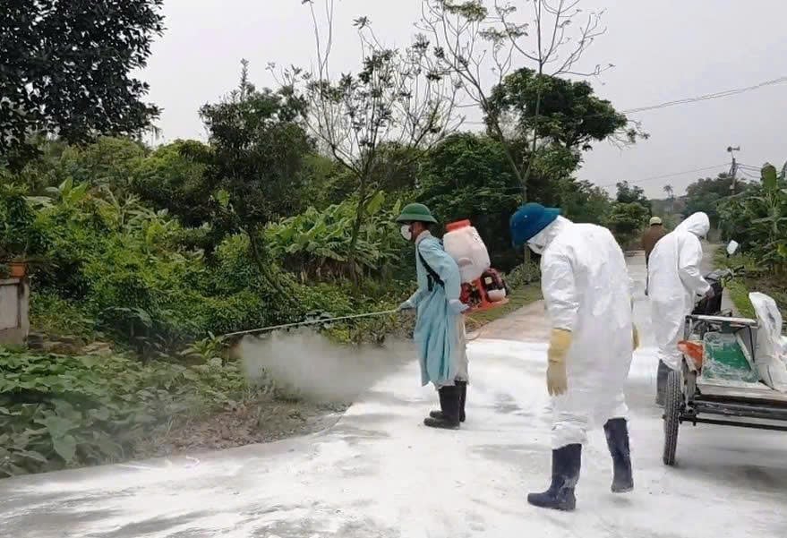 Phun thuốc sát khuẩn, vôi bột... để ngăn chặn phát tán mầm dịch bệnh ở vùng phát sinh dịch bệnh. Ảnh: Kiên Trung. Phun thuốc sát khuẩn, vôi bột... để ngăn chặn phát tán mầm dịch bệnh ở vùng phát sinh dịch bệnh. Ảnh: Kiên Trung.