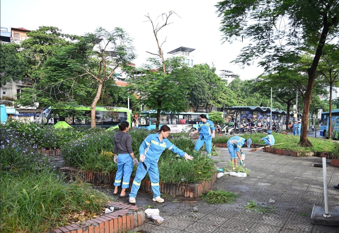 Công nhân dọn rác và cắt tỉa bồn hoa công cộng. Ảnh: Ngọc Hiệp. Công nhân dọn rác và cắt tỉa bồn hoa công cộng. Ảnh: Ngọc Hiệp.