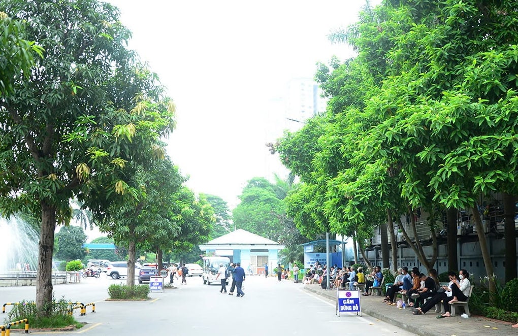 Cây xanh luôn hiện diện tại các khu vực của bệnh viện. Ảnh: Xuân Hà. Cây xanh luôn hiện diện tại các khu vực của bệnh viện. Ảnh: Xuân Hà.