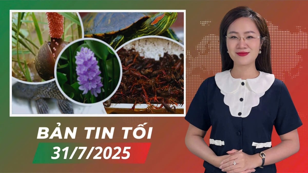 anh