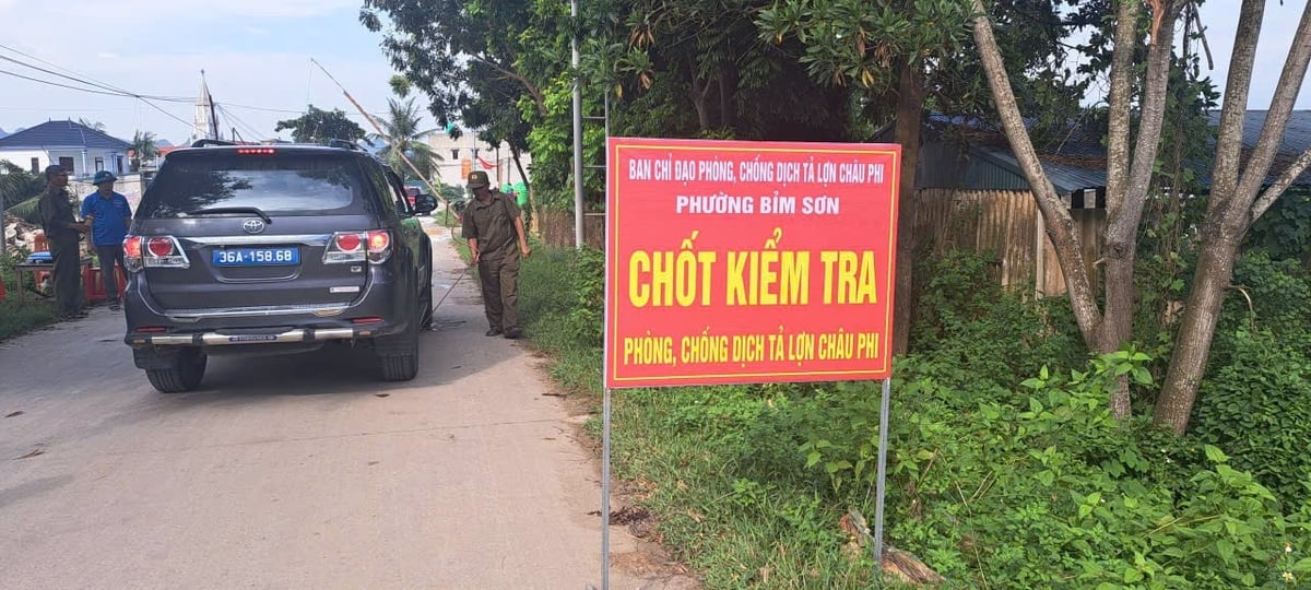 Một số địa phương trong tỉnh Thanh Hóa lập chốt kiểm tra phòng, chống dịch tả lợn Châu Phi. Ảnh: QT. Một số địa phương trong tỉnh Thanh Hóa lập chốt kiểm tra phòng, chống dịch tả lợn Châu Phi. Ảnh: QT.