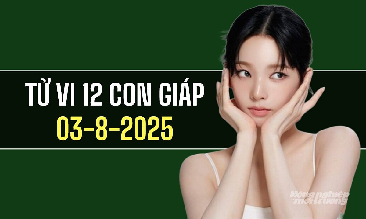 Xem tử vi hàng ngày 12 con giáp hôm nay 3/8/2025 Xem tử vi hàng ngày 12 con giáp hôm nay 3/8/2025