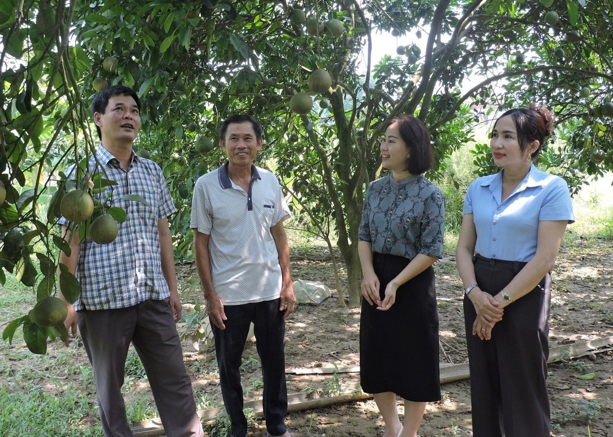 Ông Trần Ngọc Thư, Bí thư Đảng ủy xã Quy Mông (bìa trái) thăm vùng cây ăn quả của người dân. Ảnh: Thanh Tiến. Ông Trần Ngọc Thư, Bí thư Đảng ủy xã Quy Mông (bìa trái) thăm vùng cây ăn quả của người dân. Ảnh: Thanh Tiến.