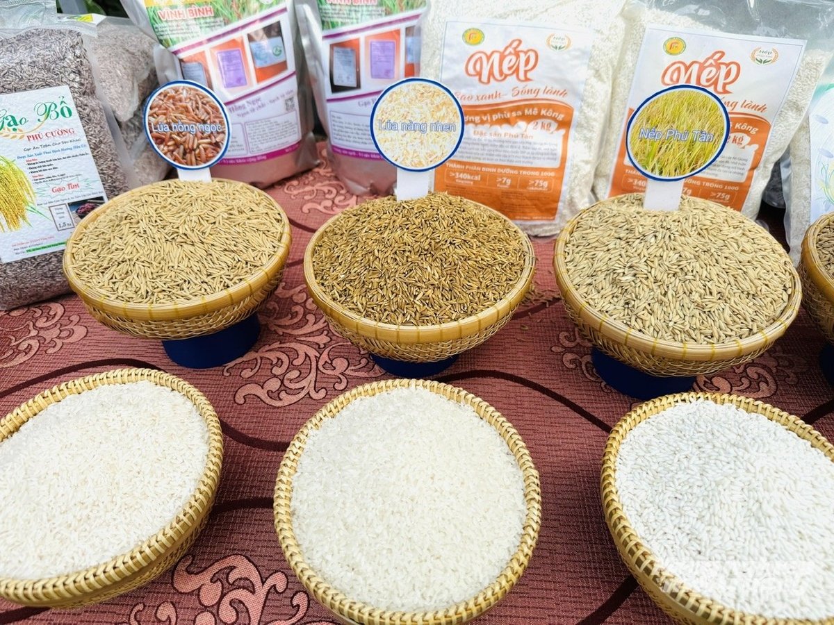  Các loại giống lúa, nếp đặc sản của An Giang như lúa tím, nếp Phú Tân… được trưng bày, giới thiệu trong chương trình trưng bày OCOP. Ảnh: Lê Hoàng Vũ.