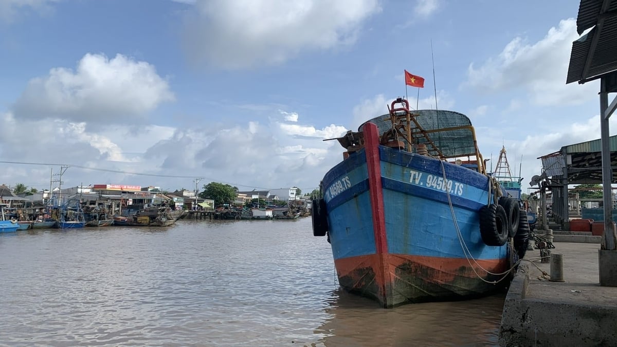 Sở Nông nghiệp và Môi trường Vĩnh Long cho biết, từ đầu năm đến nay địa phương chưa ghi nhận tàu cá vi phạm vùng biển nước ngoài. Ảnh: Hồ Thảo. Sở Nông nghiệp và Môi trường Vĩnh Long cho biết, từ đầu năm đến nay địa phương chưa ghi nhận tàu cá vi phạm vùng biển nước ngoài. Ảnh: Hồ Thảo.