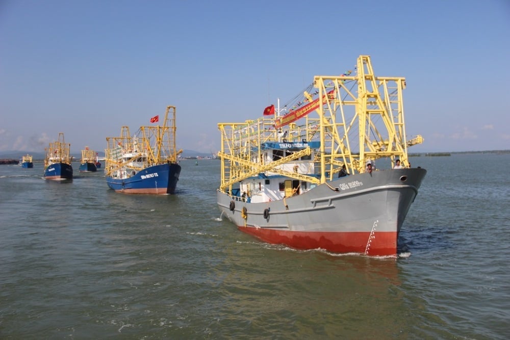 Thành phố Đà Nẵng hiện có 4.142 tàu cá có chiều dài từ 6 mét trở lên. Ảnh: Lan Anh.