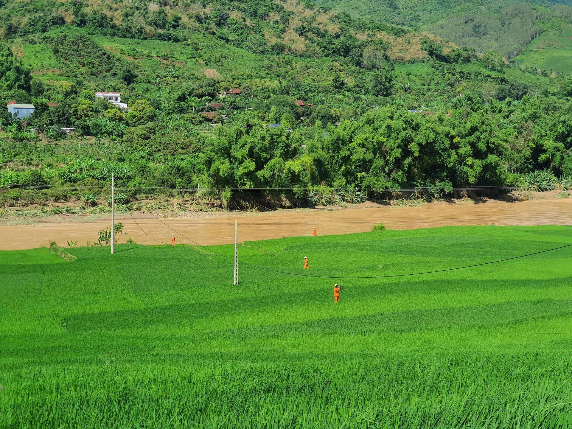 Khẩn trương triển khai các phương án khắc phục sự cố, cấp lại điện cho khách hàng. Ảnh: Hoàng Trung. Khẩn trương triển khai các phương án khắc phục sự cố, cấp lại điện cho khách hàng. Ảnh: Hoàng Trung.