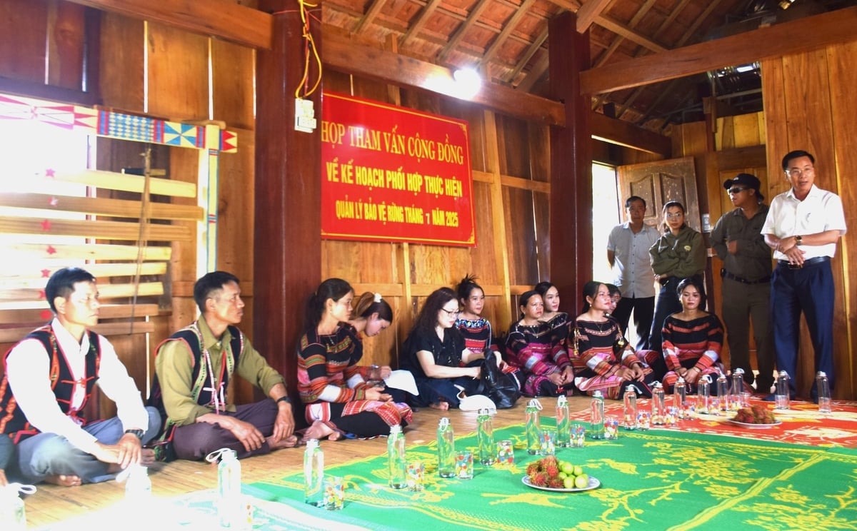 Ông Hồ Văn Hể, Giám đốc Công ty Sông Kôn (đứng ngoài cùng bìa phải) họp các cộng đồng dân cư xã Vĩnh Sơn bàn kế hoạch phối hợp thực hiện quản lý, bảo vệ rừng tháng 7/2025. Ảnh: V.Đ.T.