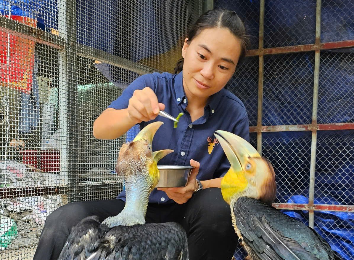 Động vật hoang dã cần được quan tâm nhiều hơn, xây dựng dữ liệu và kế hoạch kiểm soát dịch bệnh nếu không muốn ngành thú y và kiểm soát dịch bệnh trên người bị... vỡ trận. Ảnh: Lê Bình.