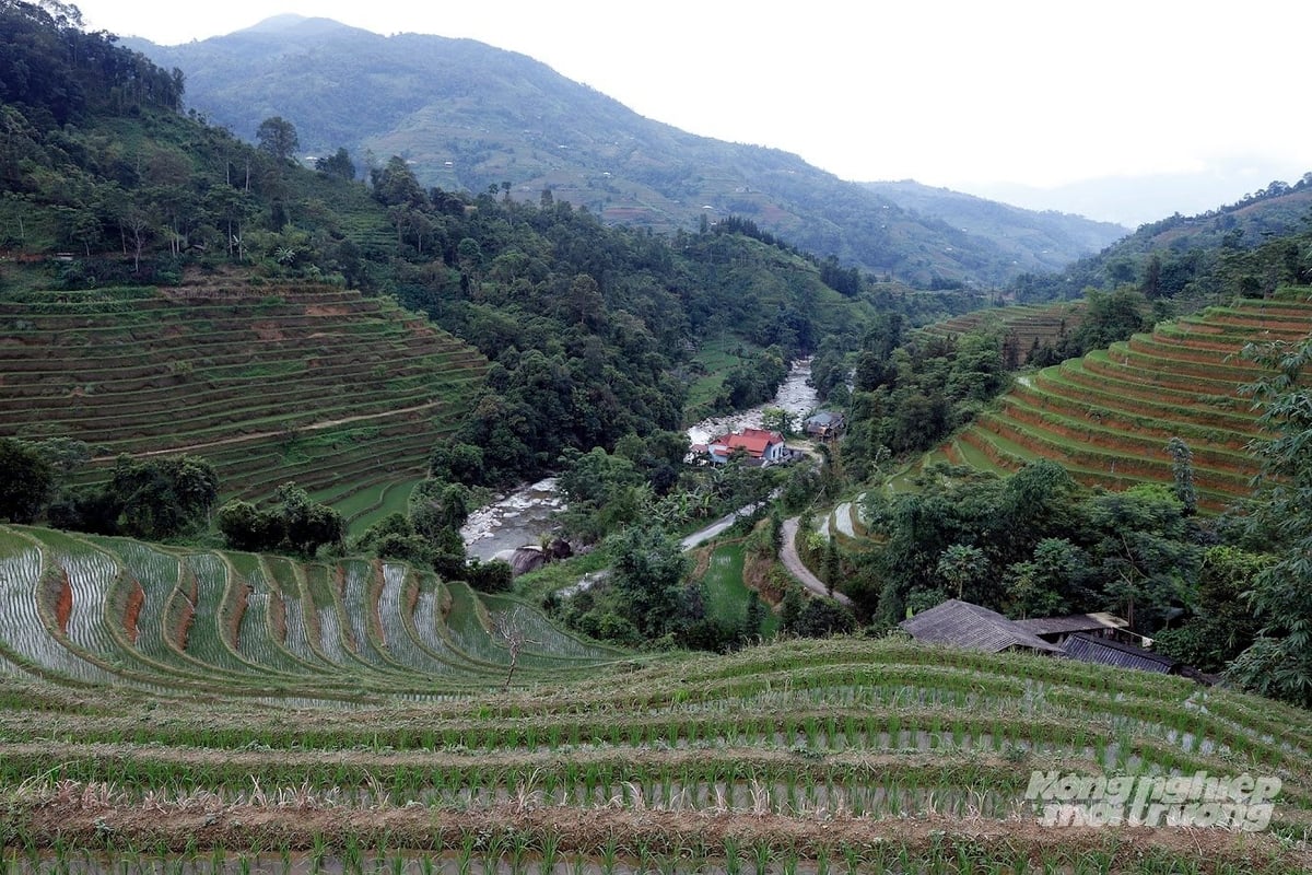 Hồ Thầu có dư địa để phát triển mô hình kinh tế nông nghiệp hữu cơ nuôi cá trong ruộng bậc thang. Ảnh: Khương Trung.