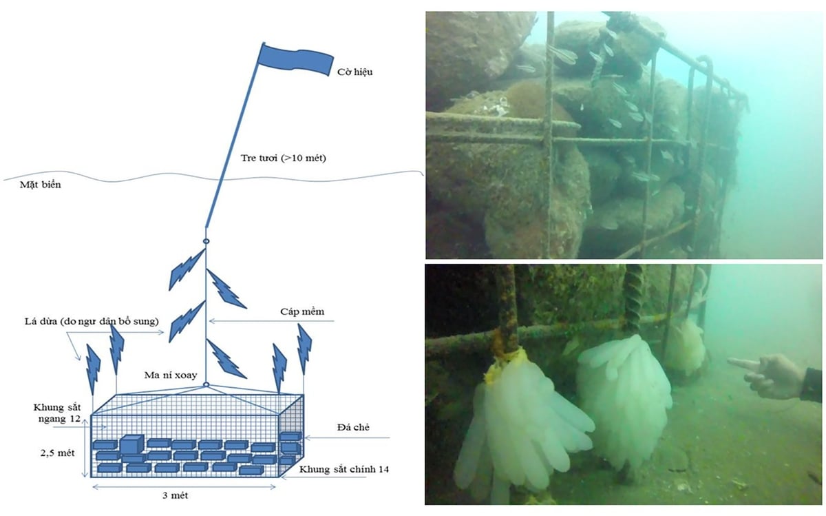 Sử dụng lồng đá là một trong 5 phương pháp thả rạn nhân tạo được các cộng đồng ven biển Lâm Đồng áp dụng để phục hồi tầng đáy biển. Ảnh: Phương Linh.