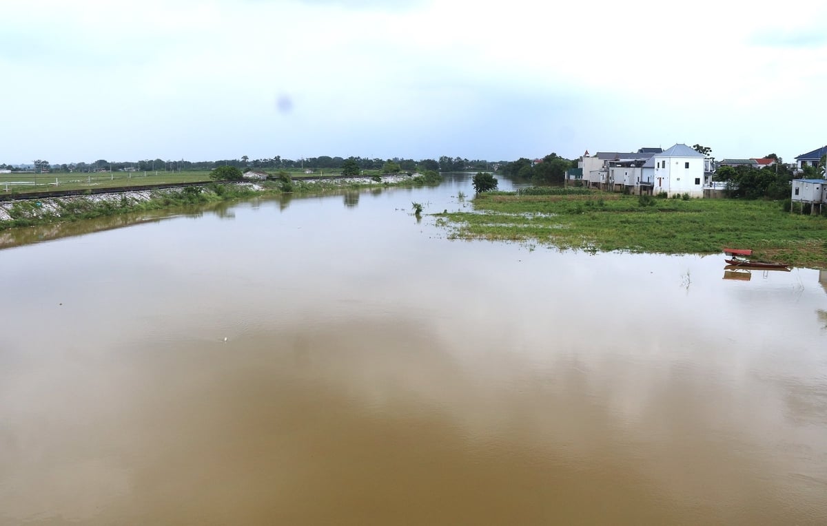 Ven sông Bùi, thôn Nhân Lý là vùng trũng nhất của huyện Chương Mỹ cũ. Ảnh: Phạm Hiếu.