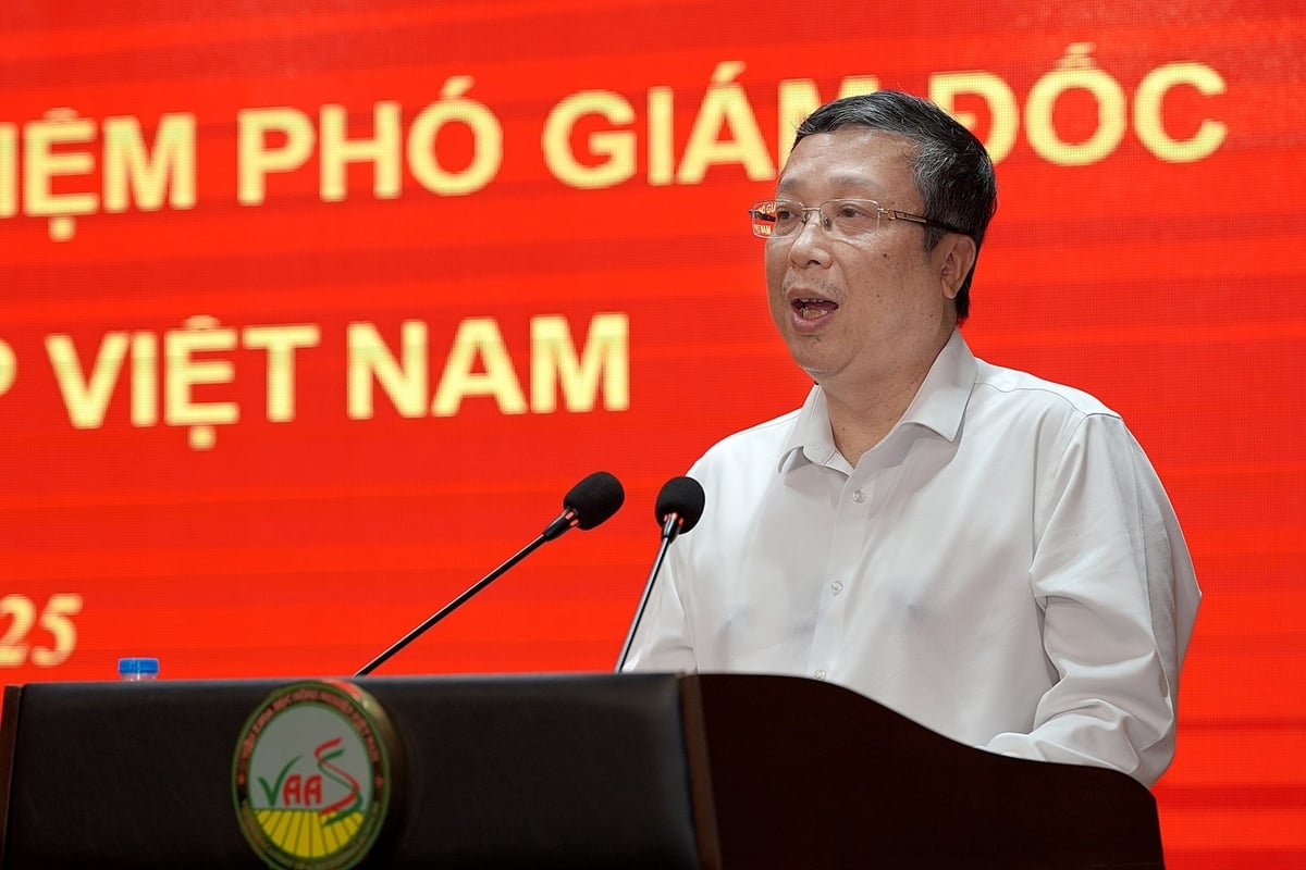 Thứ trưởng Hoàng Trung phát biểu chỉ đạo hội nghị. Ảnh: Bảo Thắng. Thứ trưởng Hoàng Trung phát biểu chỉ đạo hội nghị. Ảnh: Bảo Thắng.