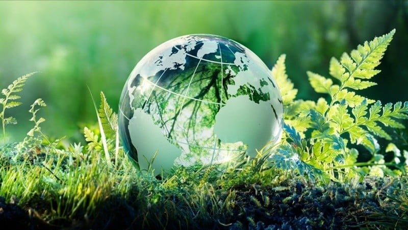 Bộ Nông nghiệp và Môi trường huy động vốn ODA và viện trợ, tận dụng FTA thúc đẩy chuyển đổi xanh toàn ngành. Ảnh minh họa. Bộ Nông nghiệp và Môi trường huy động vốn ODA và viện trợ, tận dụng FTA thúc đẩy chuyển đổi xanh toàn ngành. Ảnh minh họa.