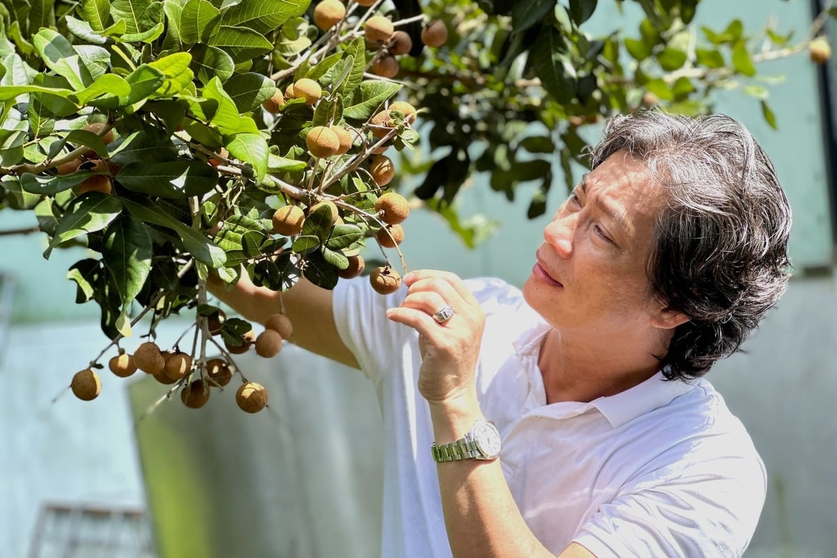 Ông Châu Thanh Triều, Giám đốc HTX Nông nghiệp công nghệ cao sông Hậu tiên phong phát triển thanh nhãn hữu cơ ở xã Thới Hưng (TP Cần Thơ). Ảnh: Kim Anh.