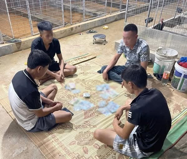 4 đối tượng rủ nhau đánh bạc trong chuồng gà. Ảnh: Công an xã Thanh Ba. 4 đối tượng rủ nhau đánh bạc trong chuồng gà. Ảnh: Công an xã Thanh Ba.