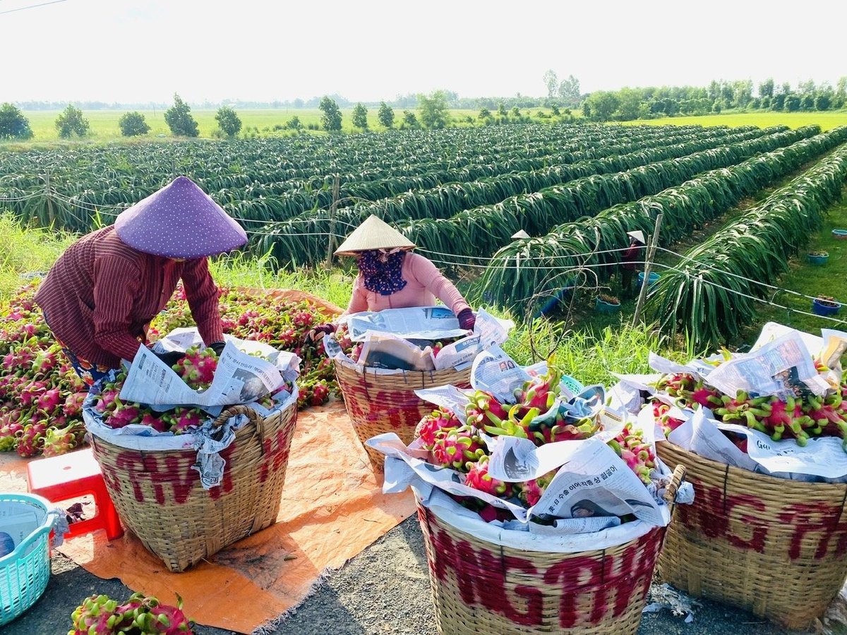 Kinh tế tư nhân là động lực quan trọng, đóng góp trên 60% vốn đầu tư phát triển toàn xã hội. Ảnh: MS.