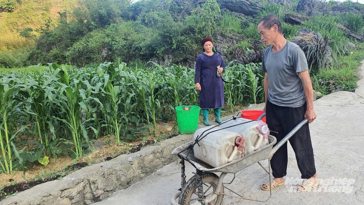 2 can nước được vợ chồng người đàn ông người Mông, bản Há Ía lấy về tích trữ làm nước sinh hoạt. Ảnh: Kiên Trung. 2 can nước được vợ chồng người đàn ông người Mông, bản Há Ía lấy về tích trữ làm nước sinh hoạt. Ảnh: Kiên Trung.