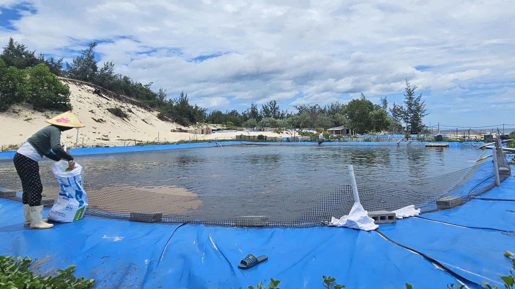 Nuôi cá lóc trên hồ đắp nổi lót bạt cũng là phát huy thế mạnh của các địa phương vùng cát ven biển Quảng Trị. Ảnh: T. Đức. Nuôi cá lóc trên hồ đắp nổi lót bạt cũng là phát huy thế mạnh của các địa phương vùng cát ven biển Quảng Trị. Ảnh: T. Đức.