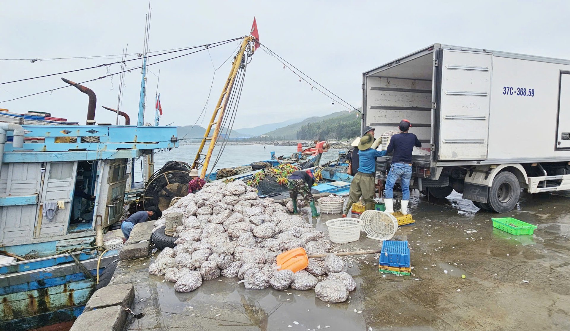 Tàu vào bốc dỡ thủy sản sau chuyến khai thác biển tại cảng cá Mũi Ông. Ảnh: T. Phùng.