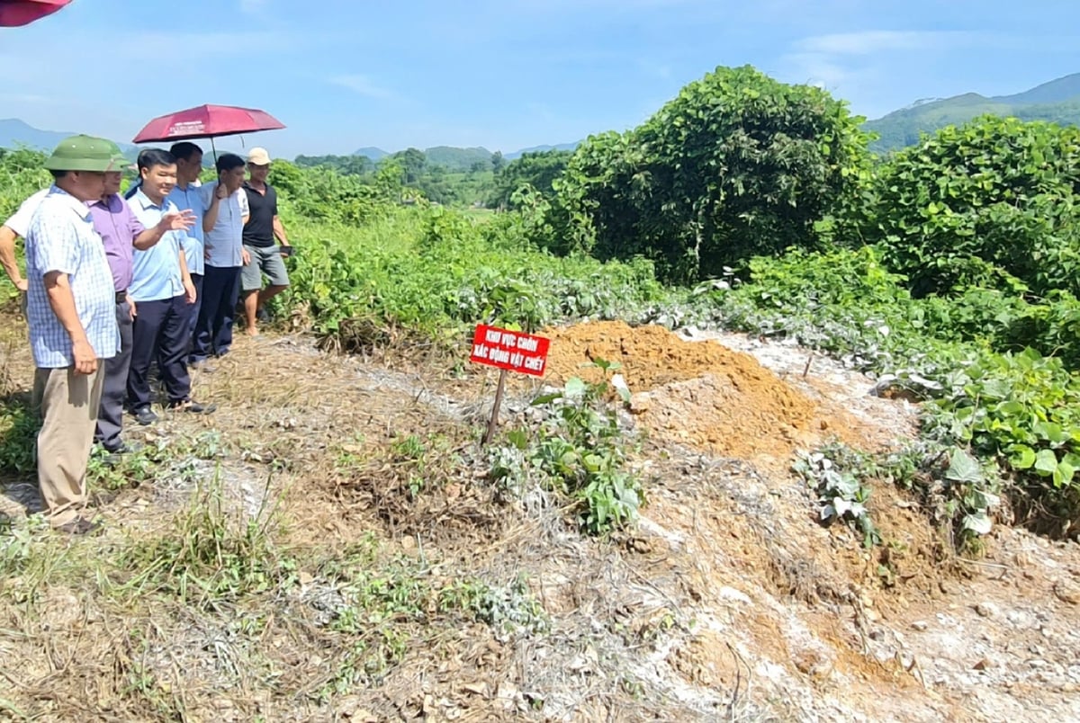 Khu vực tiêu hủy ổ dịch tả lợn Châu Phi tại phường Mỹ Lâm. Ảnh: Đào Thanh.