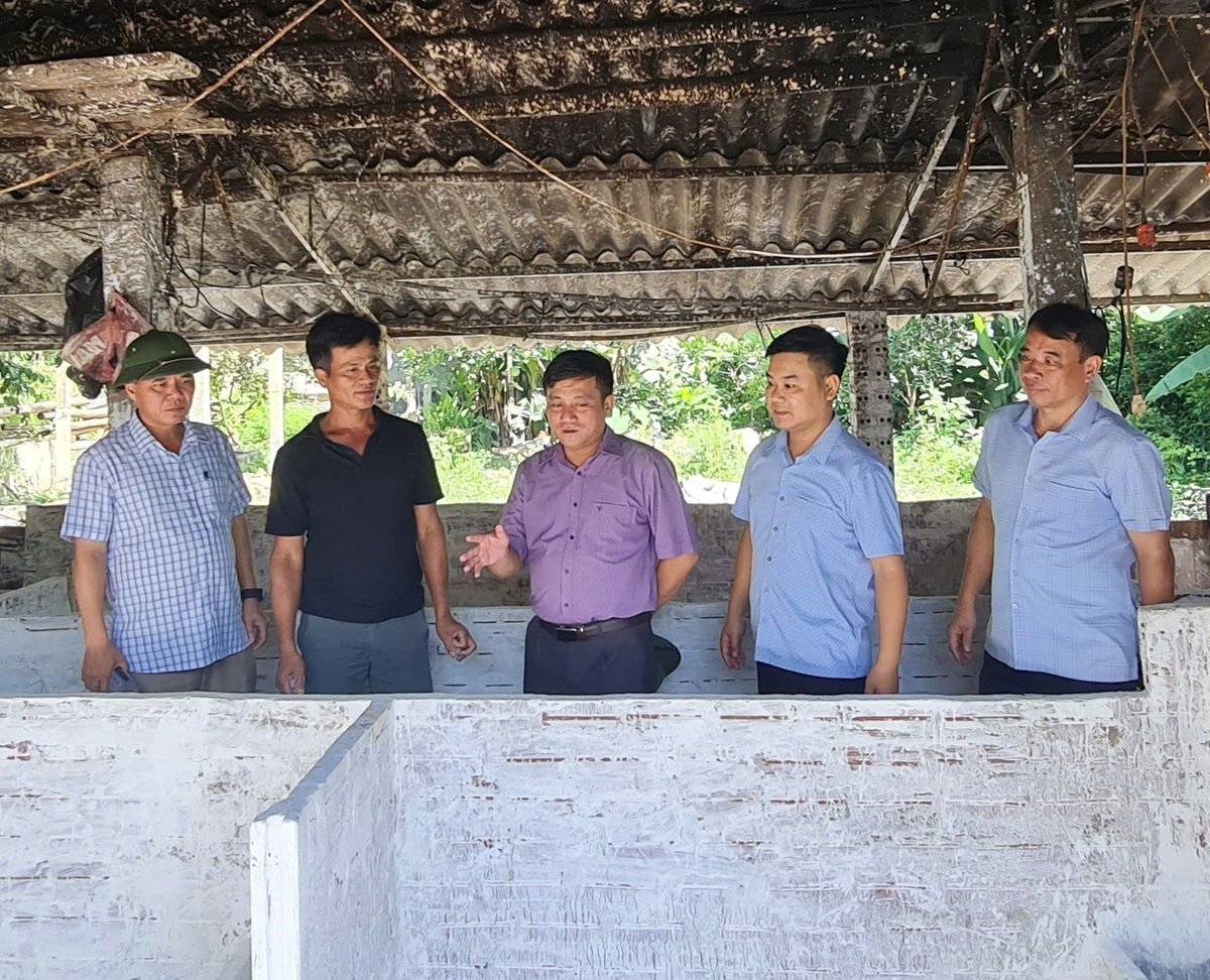 Đoàn công tác của Cục Chăn nuôi và Thú y kiểm tra khu chuồng chăn nuôi tại phường Mỹ Lâm, tỉnh Tuyên Quang thực hiện công tác tiêu độc, khử trùng sau khi có ổ dịch tả lợn Châu Phi. Ảnh: Đào Thanh.