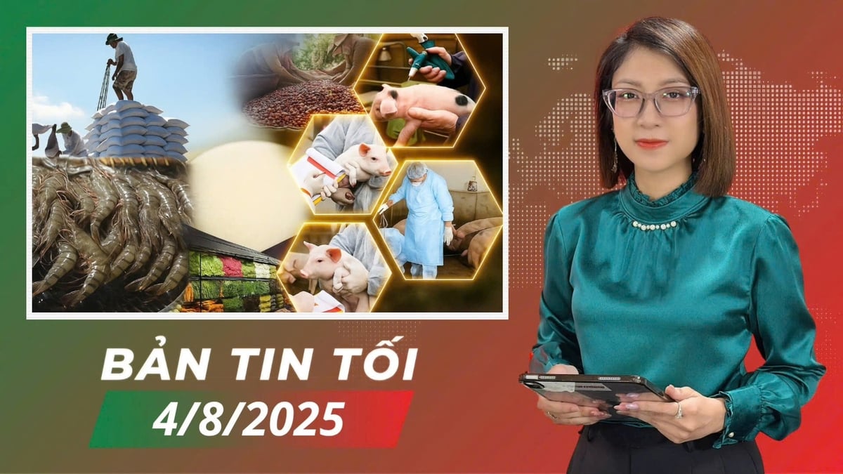 ANH