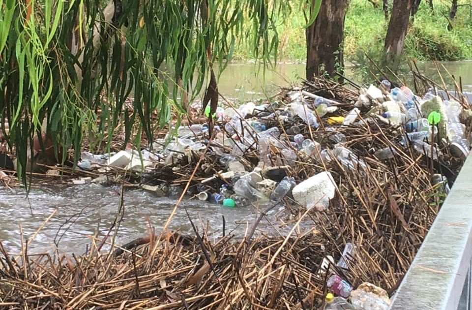 Chai nhựa và xốp ở Merri Creek (Australia). Ảnh: Takvera. Chai nhựa và xốp ở Merri Creek (Australia). Ảnh: Takvera.