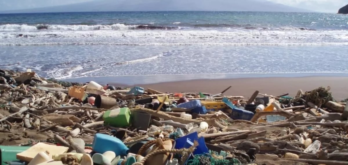 Một bãi rác nhựa ven biển ở Hawaii. Ảnh: NOAA. Một bãi rác nhựa ven biển ở Hawaii. Ảnh: NOAA.