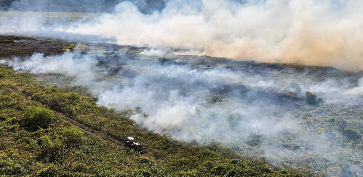 Năm 2024, các vụ cháy rừng lan rộng khắp các quần xã sinh vật Amazon, Pantanal, Cerrado và các khu vực đông dân cư ở bang São Paulo. Ảnh: Gustavo Figueirôa/SOS Pantanal. Năm 2024, các vụ cháy rừng lan rộng khắp các quần xã sinh vật Amazon, Pantanal, Cerrado và các khu vực đông dân cư ở bang São Paulo. Ảnh: Gustavo Figueirôa/SOS Pantanal.