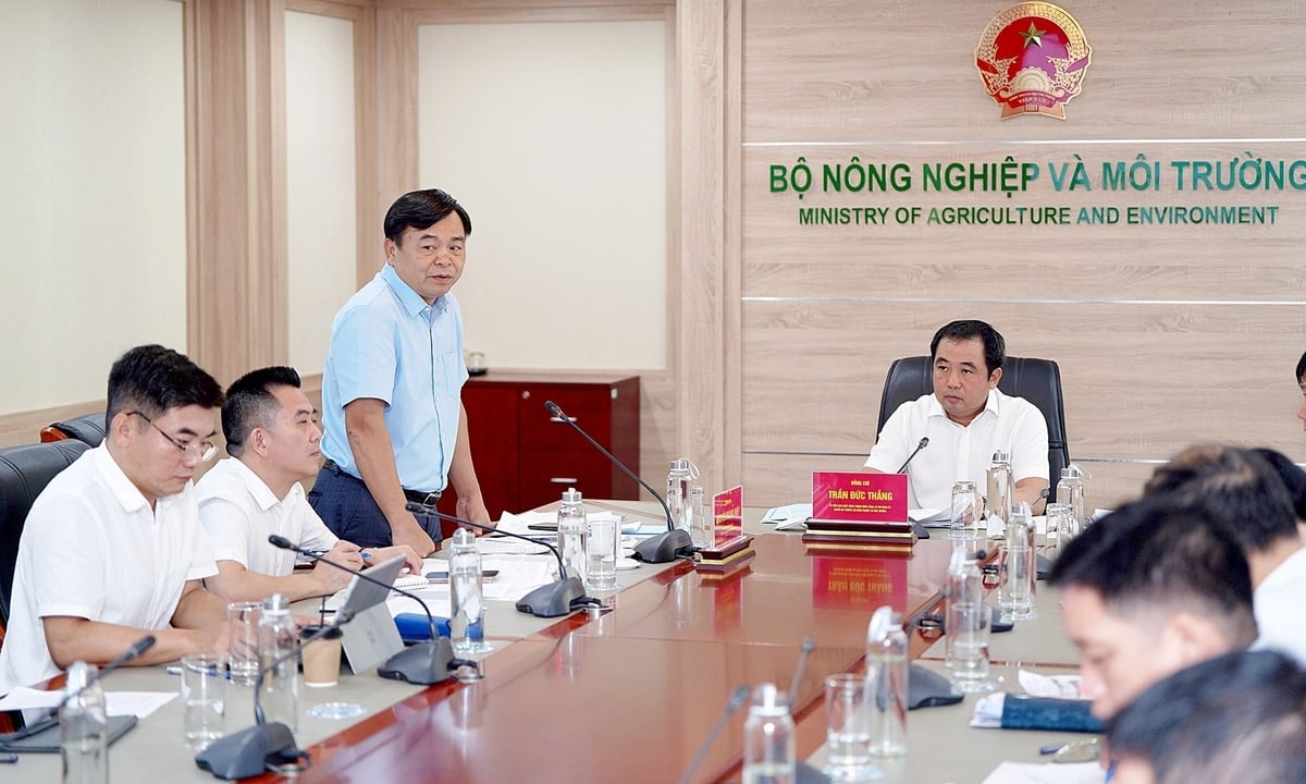 Thứ trưởng Nguyễn Hoàng Hiệp: 'Tỷ lệ giải ngân của Bộ cao hơn so với bình quân khối bộ, ngành nhưng thấp hơn trung bình chung cả nước'. Ảnh: Bảo Thắng.