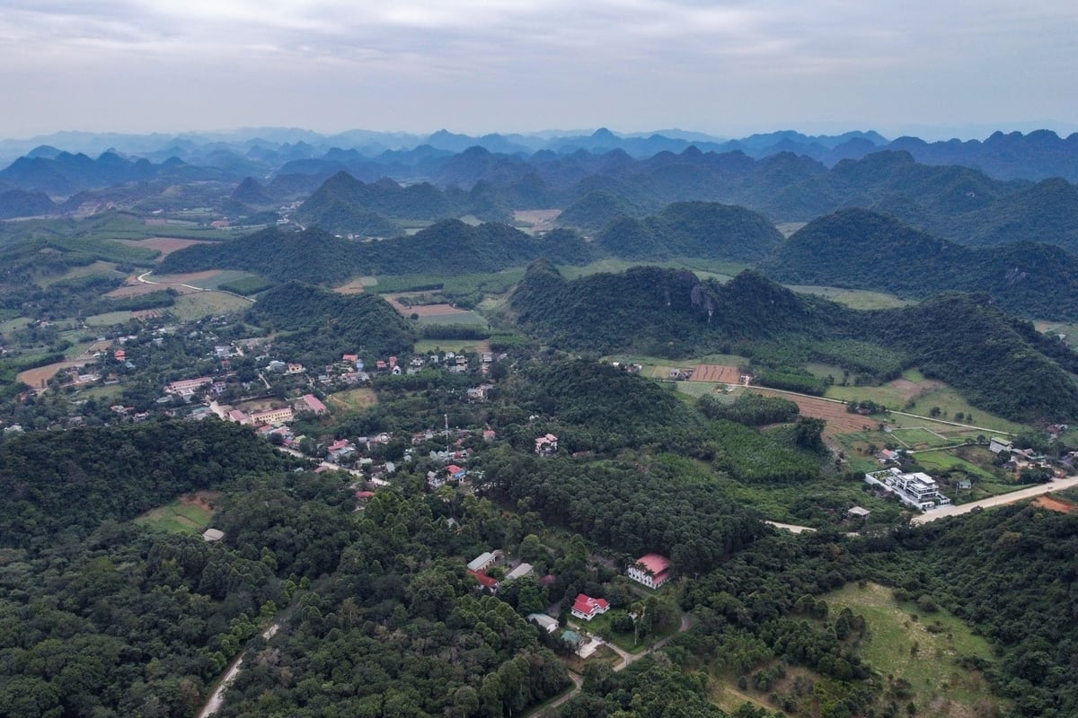 Vườn Quốc gia Cúc Phương trước đây nằm trên địa bàn 3 tỉnh cũ là Ninh Bình, Hòa Bình và Thanh Hóa. Ảnh: Tùng Đinh. Vườn Quốc gia Cúc Phương trước đây nằm trên địa bàn 3 tỉnh cũ là Ninh Bình, Hòa Bình và Thanh Hóa. Ảnh: Tùng Đinh.