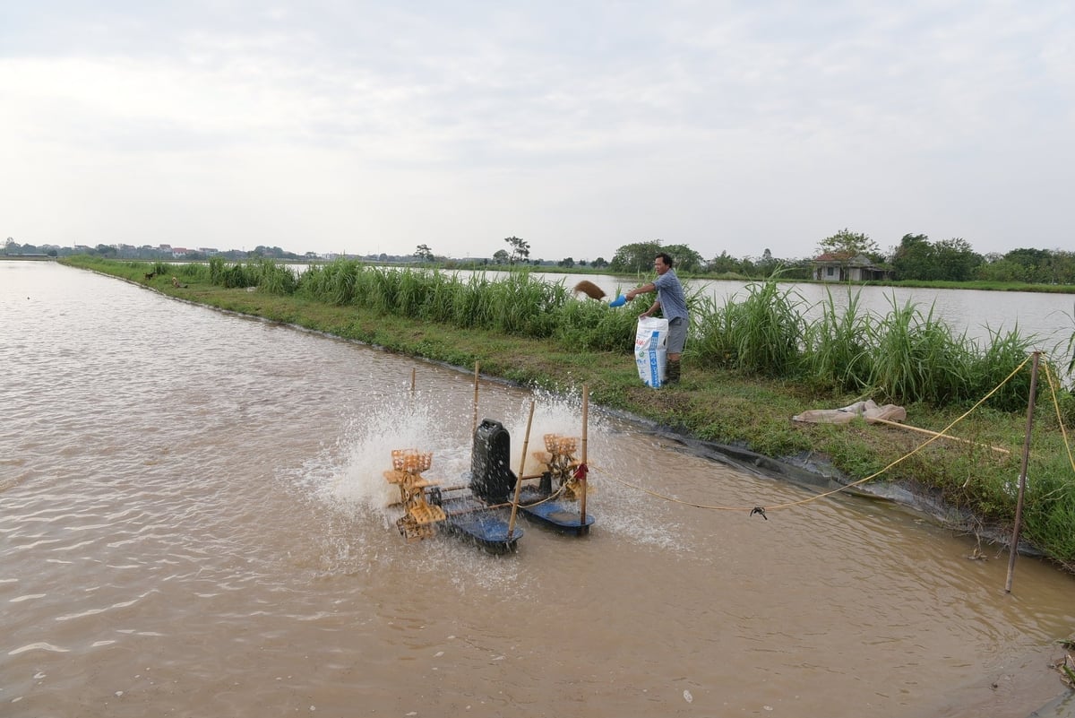 Nuôi trồng thủy sản dần được ứng dụng công nghệ cao. Ảnh: Đinh Thanh Huyền. Nuôi trồng thủy sản dần được ứng dụng công nghệ cao. Ảnh: Đinh Thanh Huyền.