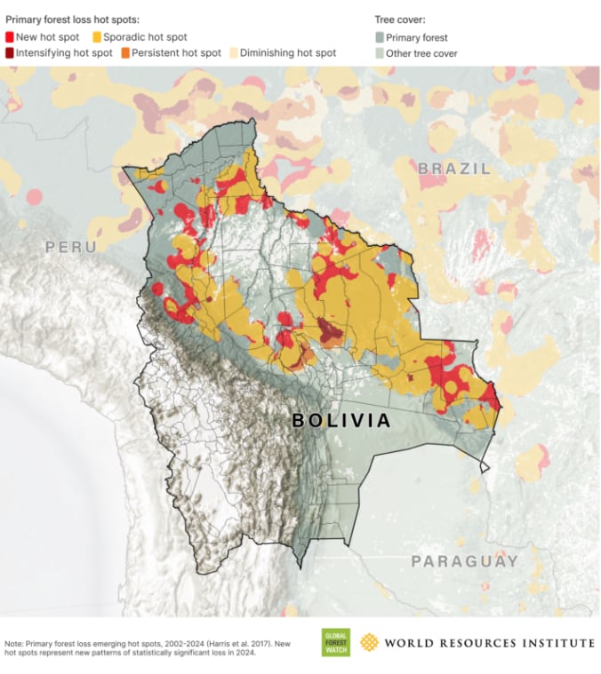 Các điểm nóng về mất rừng nguyên sinh ở Bolivia giai đoạn 2002-2024 cho thấy tình trạng mất rừng đang lan rộng trên khắp nước này. Ảnh: Global Forest Watch. Các điểm nóng về mất rừng nguyên sinh ở Bolivia giai đoạn 2002-2024 cho thấy tình trạng mất rừng đang lan rộng trên khắp nước này. Ảnh: Global Forest Watch.