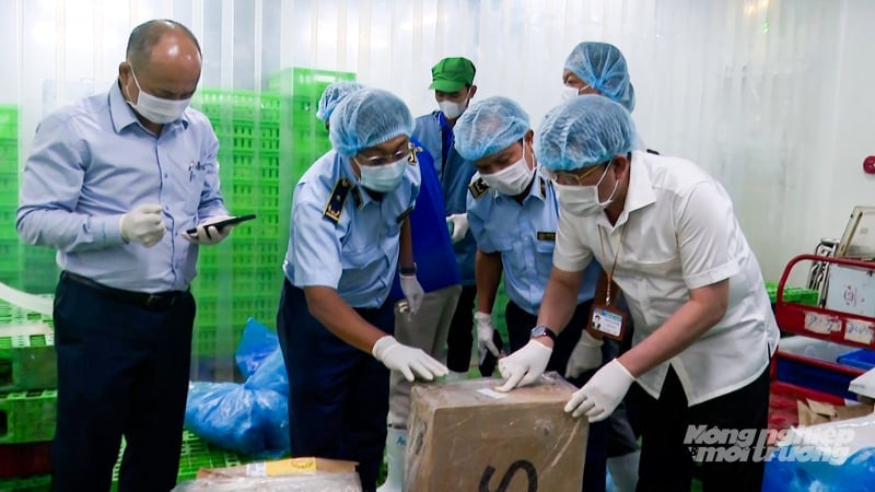 Lực lượng chức năng Cần Thơ kiểm tra hoạt động kinh doanh trên địa bàn. Ảnh: Văn Vũ. Lực lượng chức năng Cần Thơ kiểm tra hoạt động kinh doanh trên địa bàn. Ảnh: Văn Vũ.