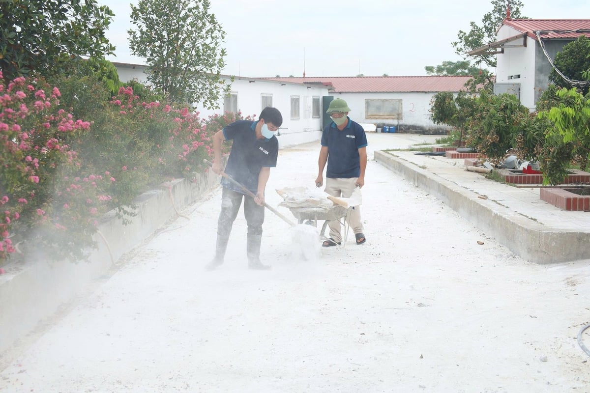 Tỉnh Phú thọ cần tiếp tục tăng cường giải pháp chăn nuôi an toàn sinh học. Ảnh: BK. Tỉnh Phú thọ cần tiếp tục tăng cường giải pháp chăn nuôi an toàn sinh học. Ảnh: BK.