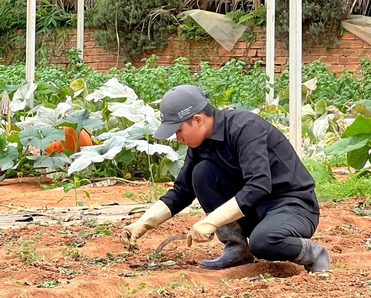 Công nhân làm việc bên cạnh cây bí ngô khổng lồ. Ảnh: Lê Bình.