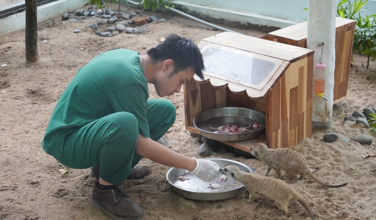 Thức ăn cho động vật hoang dã tại Thảo Cầm Viên được kiểm soát nghiêm ngặt từ đơn vị cung cấp đến tận chuồng nuôi, giúp tránh được những sự cố không mong muốn. Ảnh: Lê Bình.