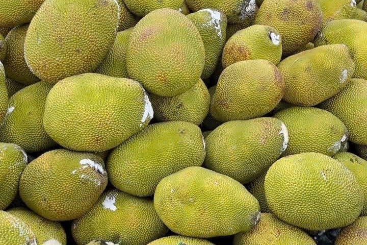 Mít ruột đỏ được dự báo có thể đạt 40.000 đồng/kg vào cuối tháng 6 âm lịch này. Ảnh: Minh Đảm.