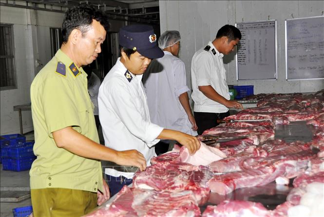 Lực lượng chức năng Hà Nội kiểm tra thịt lợn lưu thông ngoài thị trường. Ảnh: Đỗ Phương Anh. Lực lượng chức năng Hà Nội kiểm tra thịt lợn lưu thông ngoài thị trường. Ảnh: Đỗ Phương Anh.