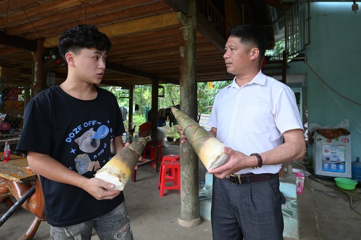 Thời gian qua, chính quyền cấp xã đã thực hiện một số nhiệm vụ được phân cấp từ Bộ Nông nghiệp và Môi trường. Ảnh: Tùng Đinh. Thời gian qua, chính quyền cấp xã đã thực hiện một số nhiệm vụ được phân cấp từ Bộ Nông nghiệp và Môi trường. Ảnh: Tùng Đinh.