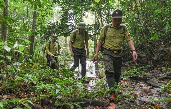 Cán bộ kiểm lâm Vườn quốc gia Cúc Phương tuần rừng. Ảnh: Tùng Đinh. Cán bộ kiểm lâm Vườn quốc gia Cúc Phương tuần rừng. Ảnh: Tùng Đinh.