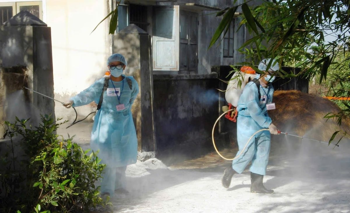 TP Huế đang triển khai rốt ráo các phương án phòng chống dịch tả lợn Châu Phi. Ảnh: Văn Dinh. TP Huế đang triển khai rốt ráo các phương án phòng chống dịch tả lợn Châu Phi. Ảnh: Văn Dinh.