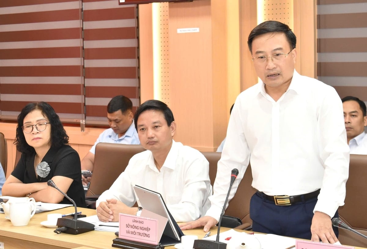 Lãnh đạo Sở Nông nghiệp và Môi trường Tuyên Quang đưa ra những kiến nghị, khó khăn, vướng mắc liên quan đến lĩnh vực nông nghiệp và môi trường khi triển khai chính quyền địa phương 2 cấp. Ảnh: Đào Thanh. Lãnh đạo Sở Nông nghiệp và Môi trường Tuyên Quang đưa ra những kiến nghị, khó khăn, vướng mắc liên quan đến lĩnh vực nông nghiệp và môi trường khi triển khai chính quyền địa phương 2 cấp. Ảnh: Đào Thanh.